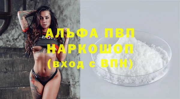 индика Балабаново