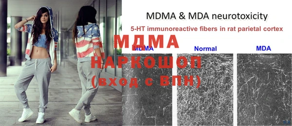 индика Балабаново