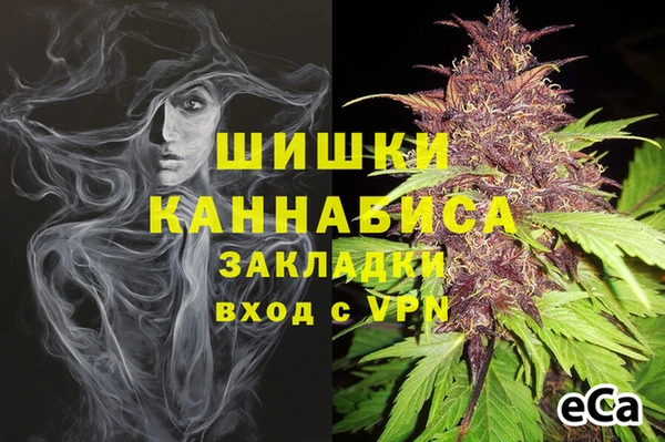 шишки Баксан
