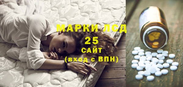 индика Балабаново