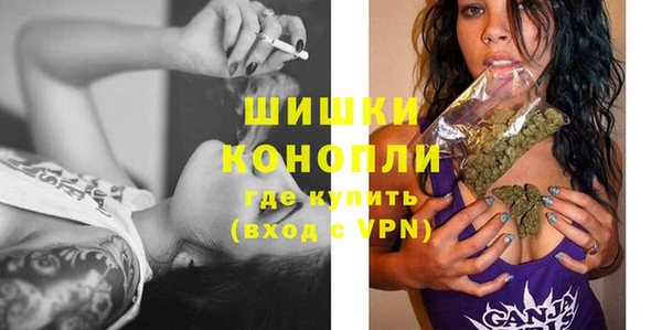 шишки Баксан