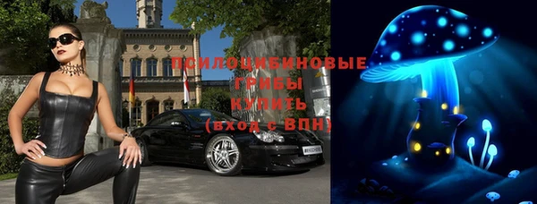 индика Балабаново